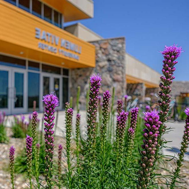 Closeup of flowering plants in front of Lumen Vitae University Center